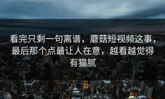 看完只剩一句离谱，蘑菇短视频这事，最后那个点最让人在意，越看越觉得有猫腻